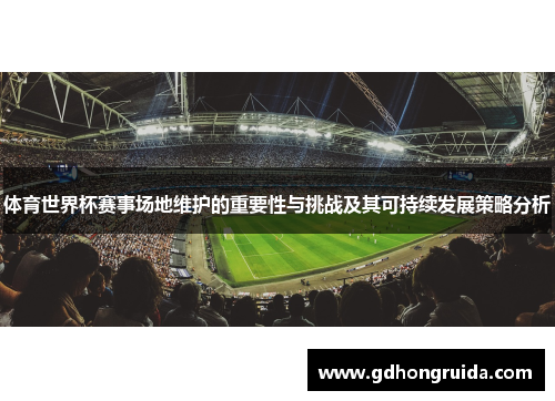 体育世界杯赛事场地维护的重要性与挑战及其可持续发展策略分析
